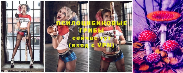 гидра Струнино