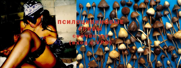 гидра Струнино