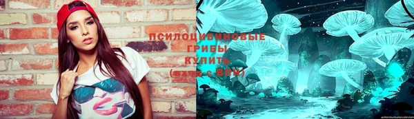 ПСИЛОЦИБИНОВЫЕ ГРИБЫ Ступино